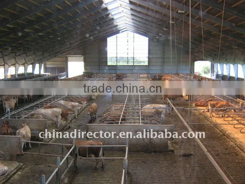 Professional design light steel structure wide span steel structure house