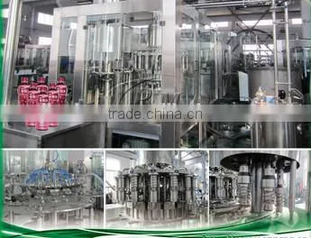 Automatic Pomegranate Juice Filling Machine