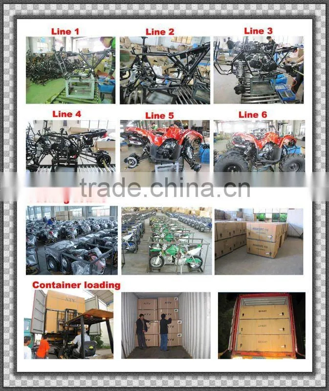 3 WHEEL CVT 300CC ATV QUAD BIKE(MC-392)