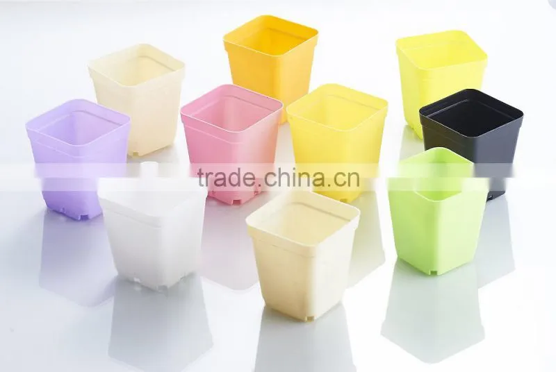Plastic Colorful Small Square Flower Pots Without Pallet -3 inch