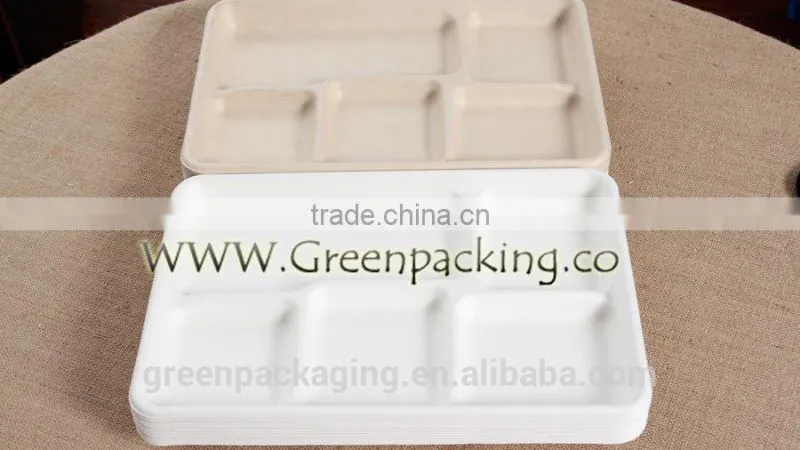 5 compartment shallow tray from sugarcane