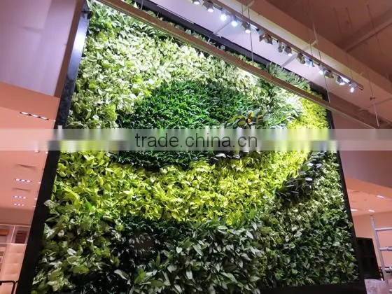 high quality Eco-friendly artificial plant wall, foliage green wall, indoor or outdoor