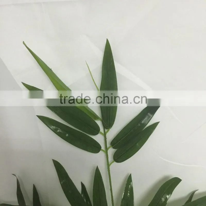 older bamboo branch