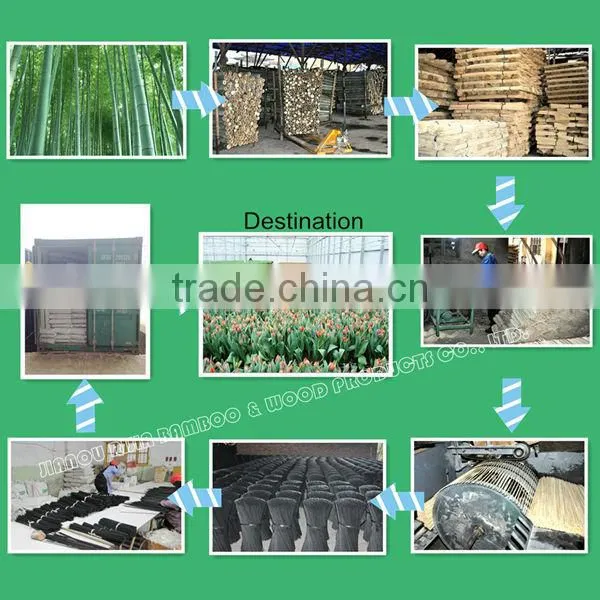 New Design Bamboo Flower Sticks for Sale