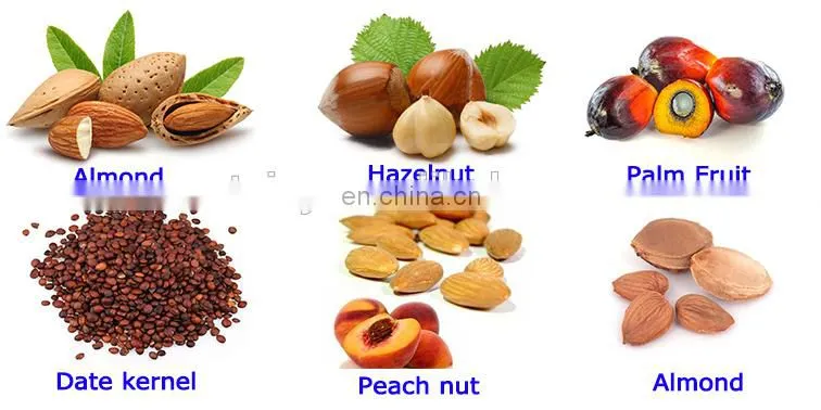 Hot sale apricot kernels shell separating machine