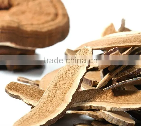Duan Wood Reishi Slice,Ganoderma lucidum