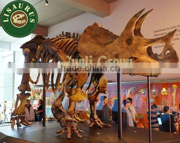 Lisaurus-0183 Dinosaur fossil as educational equipment