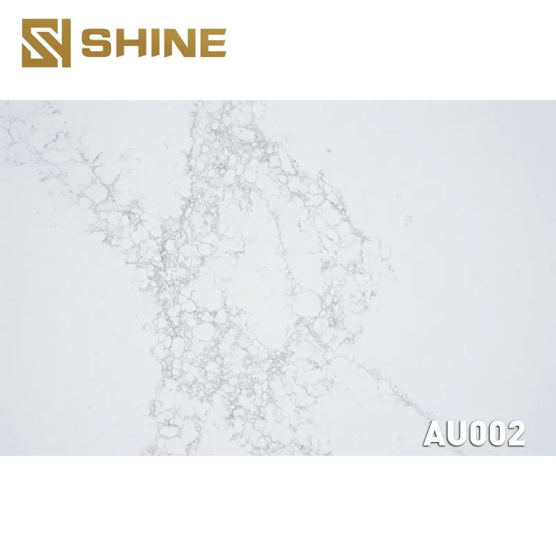 AU002细节.jpg