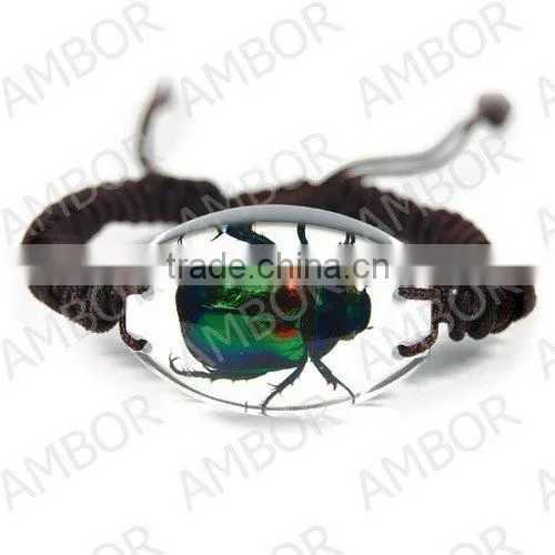 Wholesale real flower insect inserted 2015 fashion bracelet