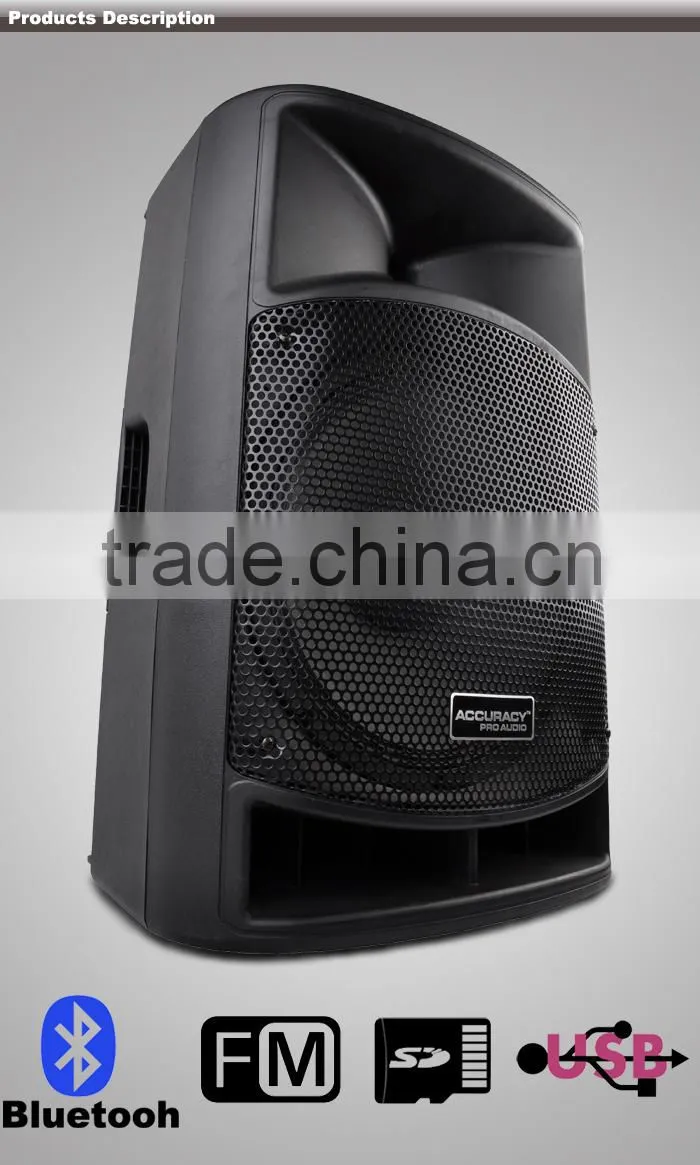 Professional Digital FM Radio Molded Loudspeaker Cabinet CSA15AMK-BT