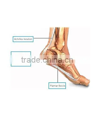 HDT healthcare products Heel pain,spur pain patch,pain relief patch