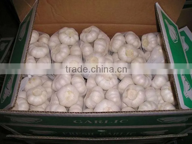 2016 New Crop Chinese Red Garlic