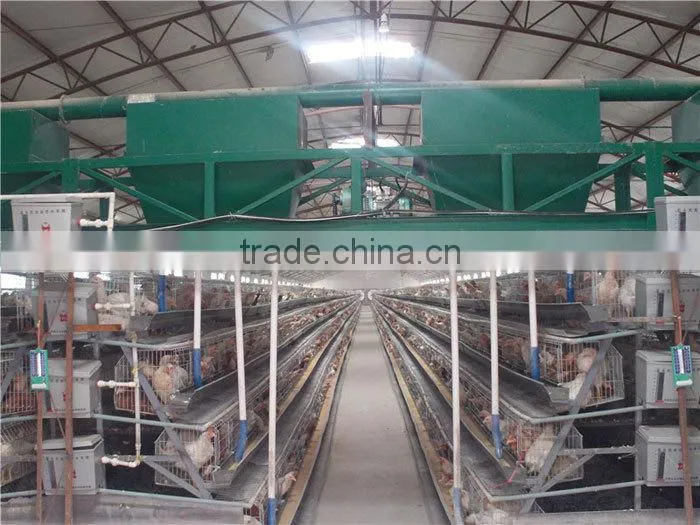 broiler battery cage with automatic feeding and manure removal equipments (professional manufacture)