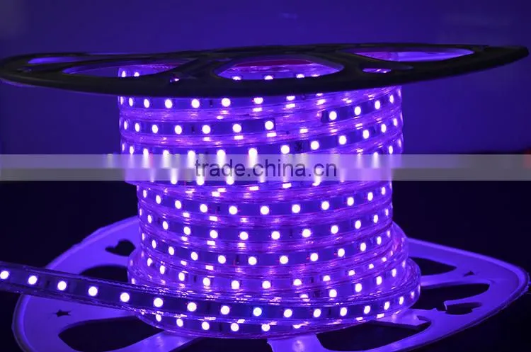 2016 new product China supplier led strip light 220V led strip RGB smd5050 ce rohs