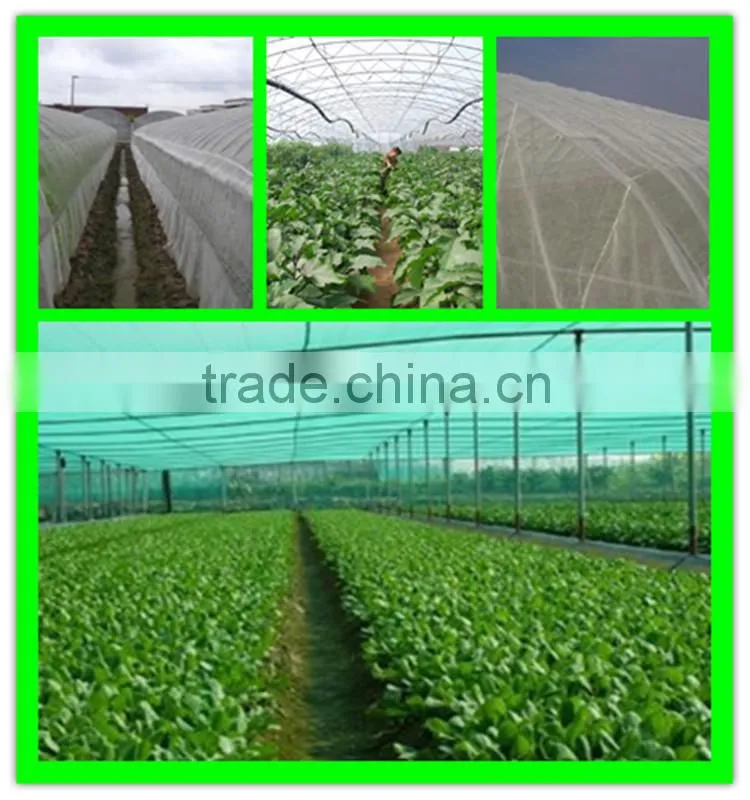 virgin hdpe reused cultivate anti insect netting