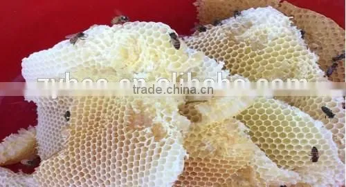 Multi-flower wholesale yellow honey beeswax,beeswax machine use,bees wax