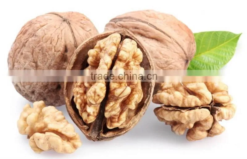 Chinese good quality Juglans regia for wholesale to many country