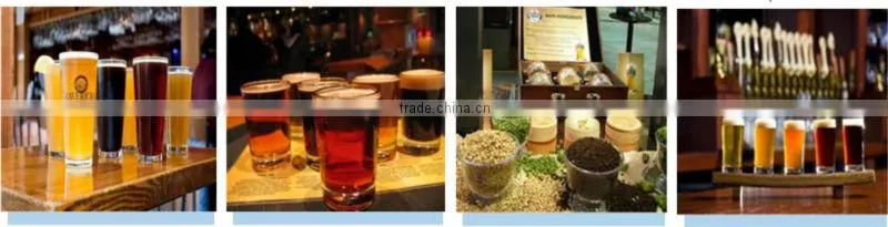 600L automatic beer brewing system