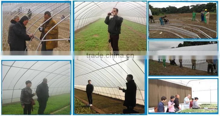 Film Cover Material and PE Material small greenhouse wholesale