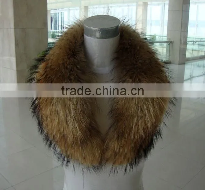 Winter warm hot sale big Raccoon Fur Collar Customized Plump Raccoon Fur Shawl Collar