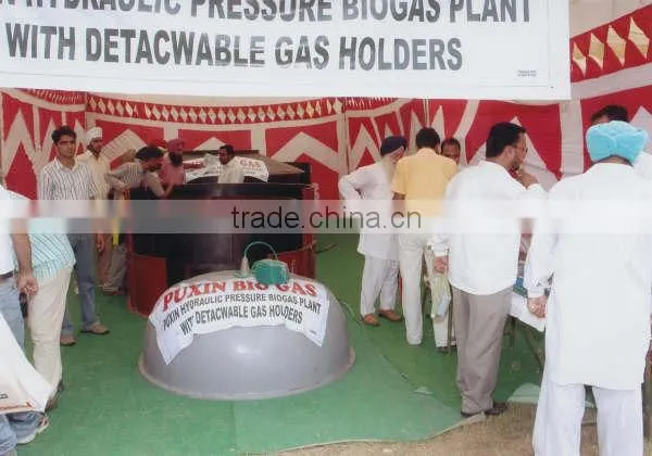 China Puxin Easy to Maintain Home Use 4m3 Hydraulic Pressure Biogas Plant