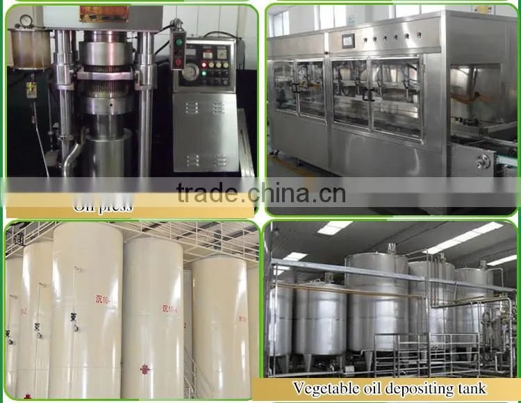 China's high quality sesame oil/ Refined Pure Gingelly Oil