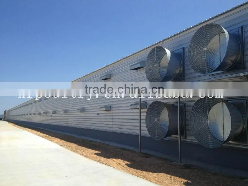 Turnkey project professional automatic poultry chicken farm house