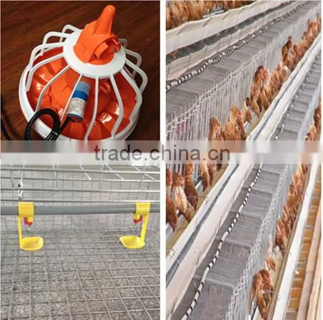 Auto drinking system