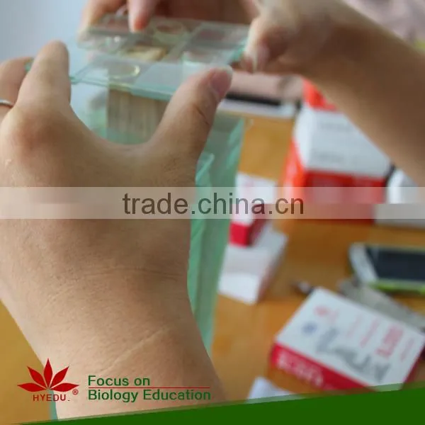 Individual microscope prepared slides Medical parasite microscope slides