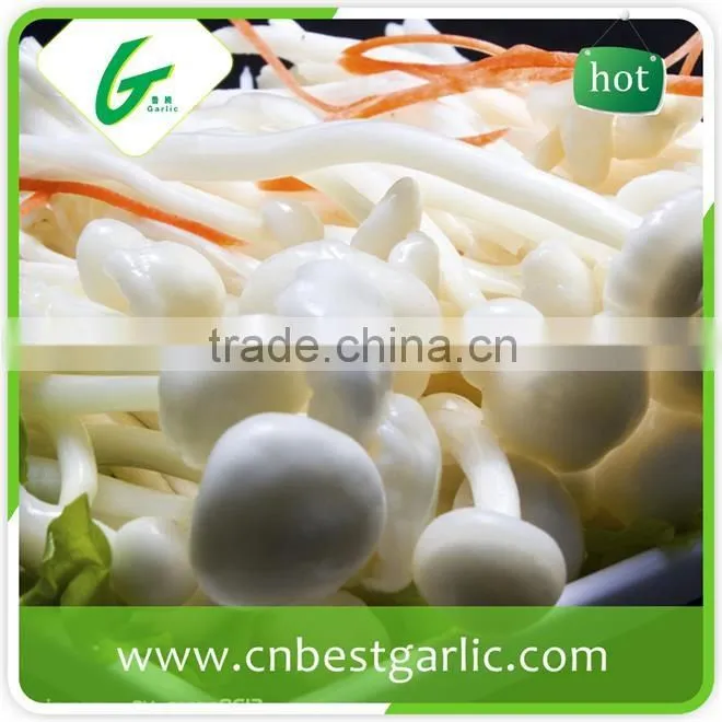 Dried fresh enoki mushroom