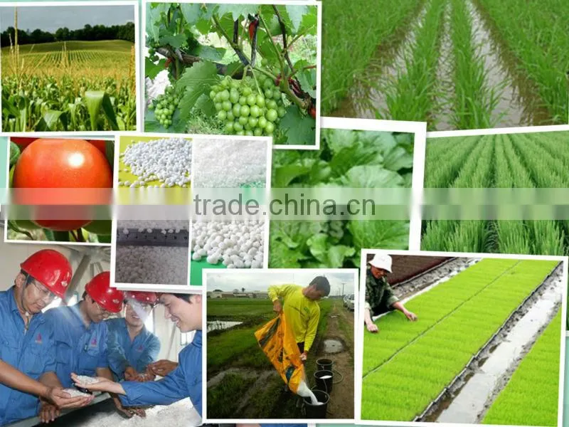 pilled and granualar urea supplier