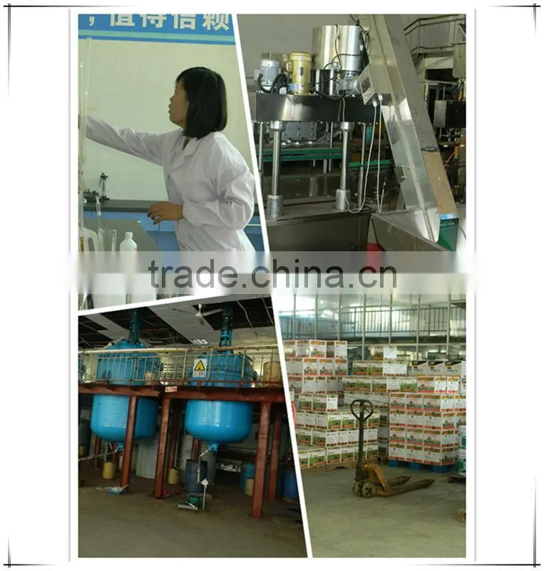 Agriculture seaweed extract powder organic fertilizer