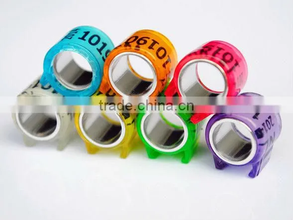2015 Newest Dutch Pigeon Ring For Sale By YZ factory EXW price