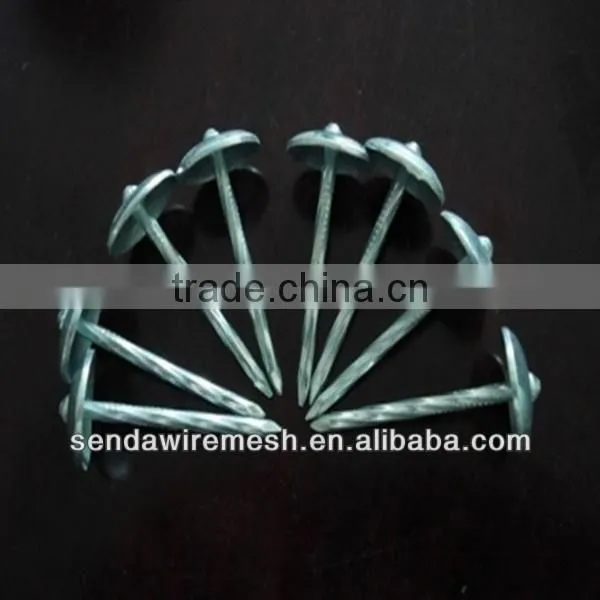 roofing nails for construction