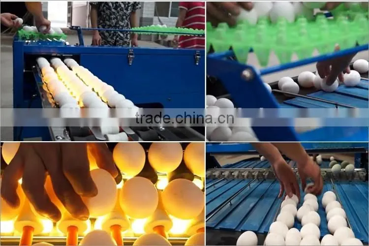 Factory supply egg grading machine 3500-4500pcs/h