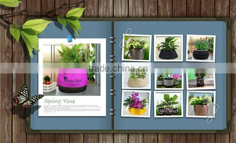 Green Field New Hydroponics Garden Planter Bag