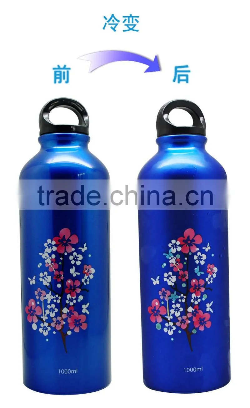 Stainless steel sport bottles for Dad's gift