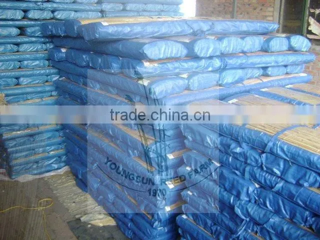 reed slat fence