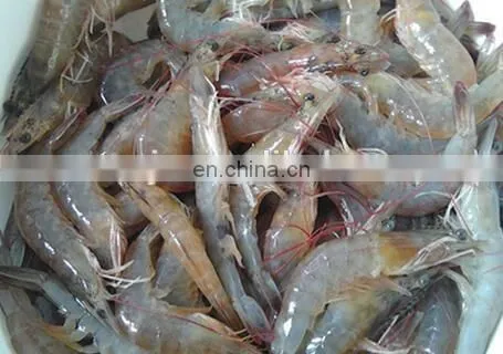 China Factory Price Shrimp Peeling Peeler Machine