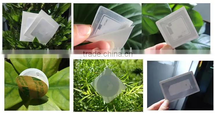 Transparent PET RFID ntag213 inlay, MF 1K Inlay