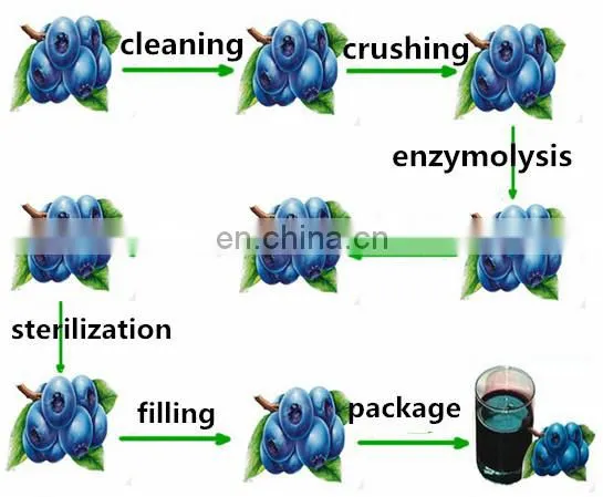 Small model fruit Paste /Jam production line /equipment for fruit&vegetable pre-process machine