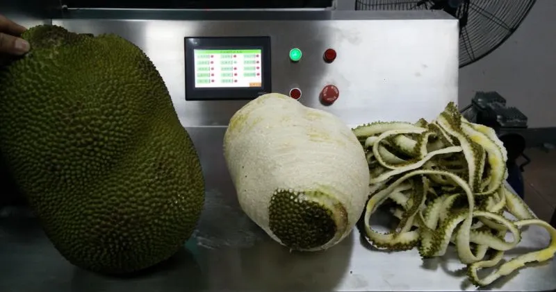 Factory Genyond Automatic Fruit Peeler Equipment Citrus Orange Lemon Peel Removing Peeling Machine Used for Industrial
