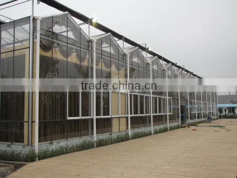 High Quality Commercial Used Greenhouse