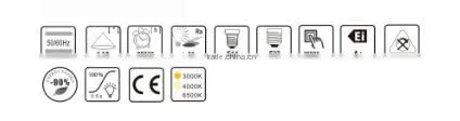 Passed CE,ROSH,Input Voltage AC110-220V American charger led light