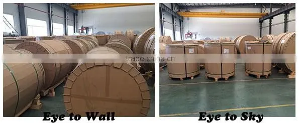 Aluminum pre-coated coil For outdoor decoration and roofing