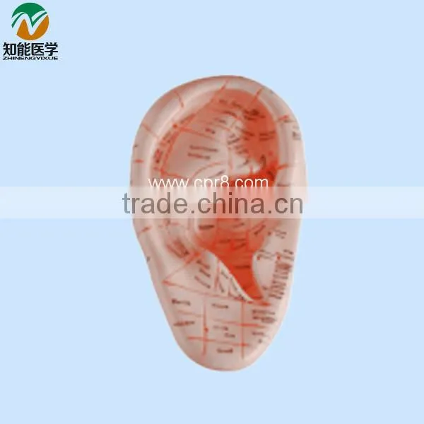Ear massage model 17cm BIX-Y1025