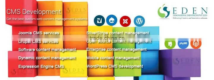 Wordpress web development