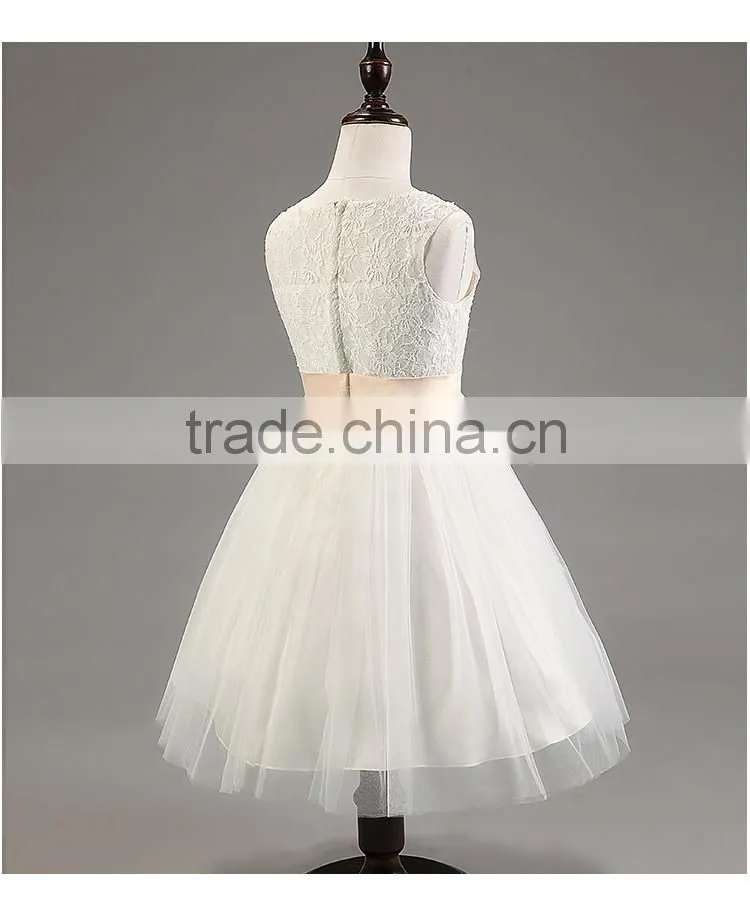 Lastest wholesale elegant girls chiffon party hand embroidery dresses TR-WS31