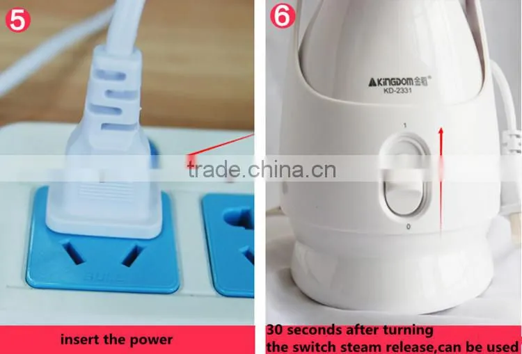 Home use face steamer