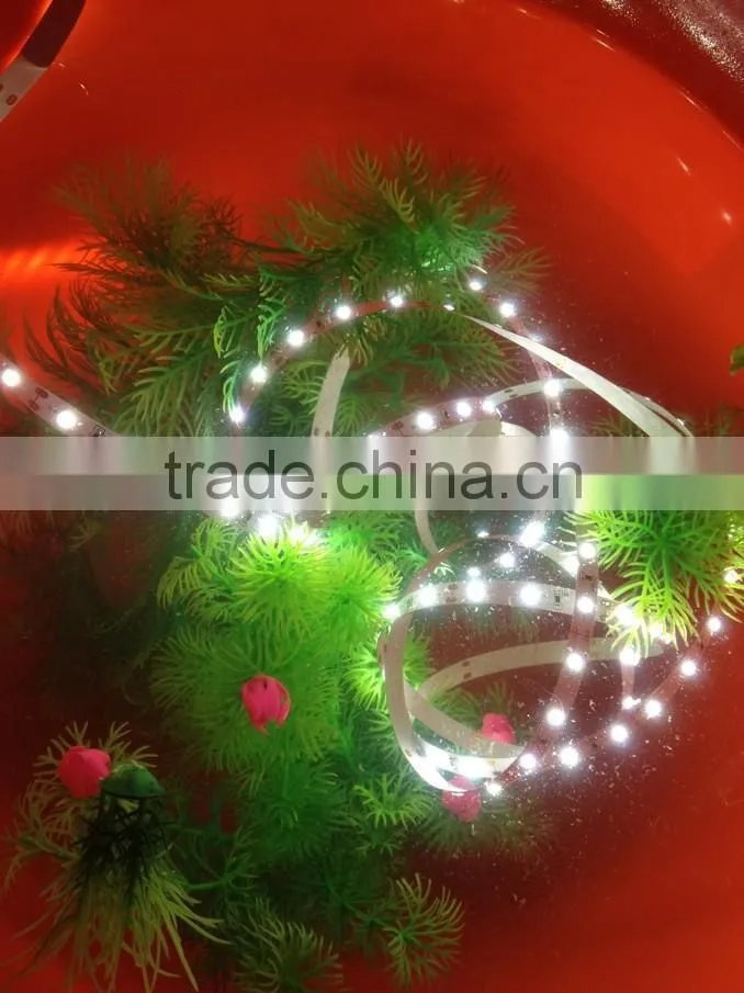 SMD2835 led strip light